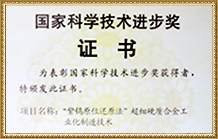 Certificate of National Science and Technology Progress Award